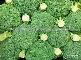 fresh IQF green frozen broccoli 4-6cm