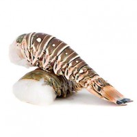 Frozen Fresh Live Green Lobster - Alive Bamboo Lobster