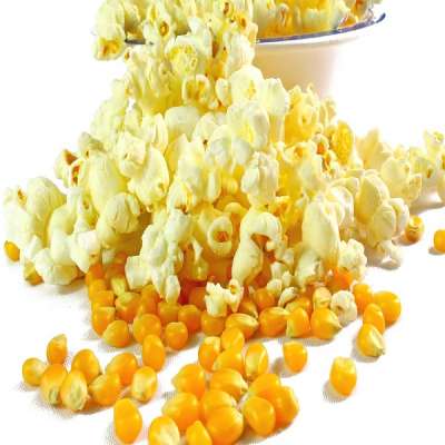 Bulk IQF Frozen Sweet Corn Yellow Corn Kernels/ Natural Thailand Yellow Dried Maize/Corn